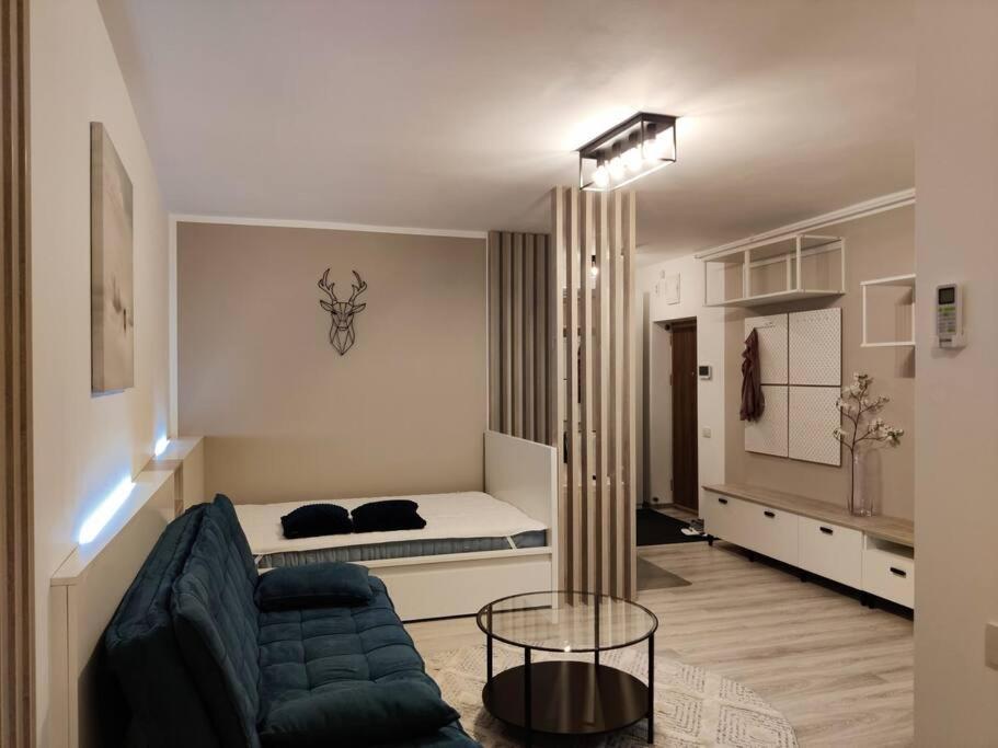 Joy City Stay Vivalia V6A-41 Тимишоара Экстерьер фото