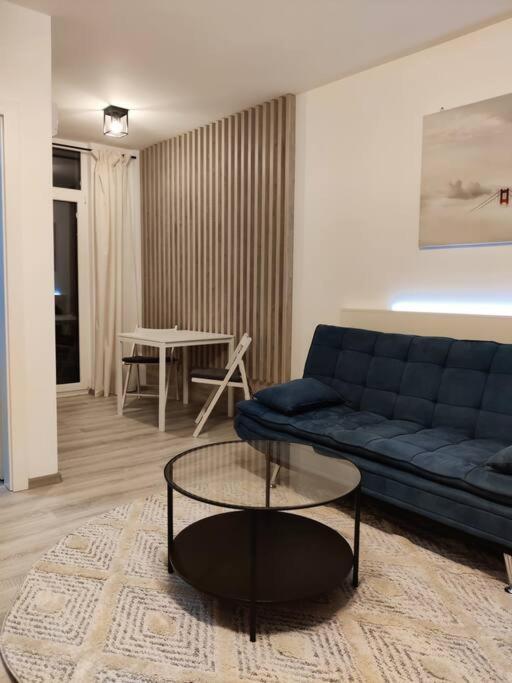 Joy City Stay Vivalia V6A-41 Тимишоара Экстерьер фото
