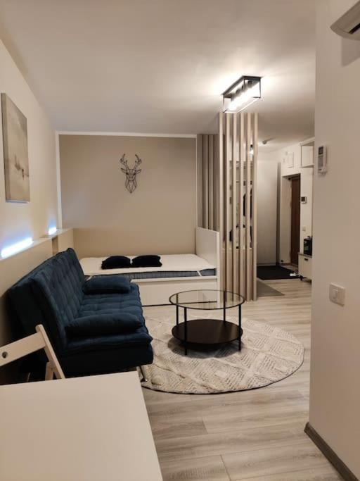 Joy City Stay Vivalia V6A-41 Тимишоара Экстерьер фото