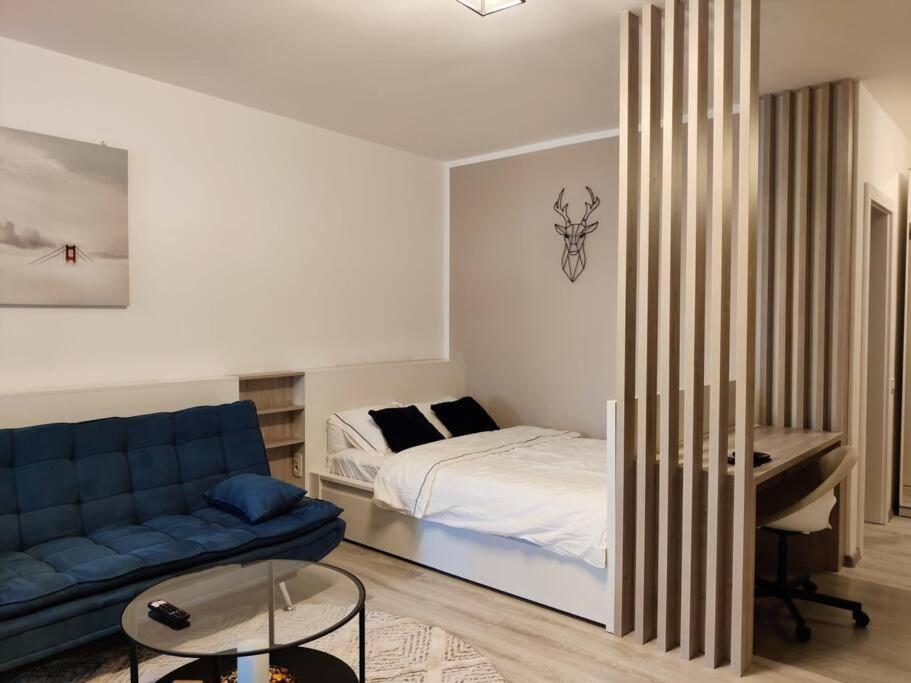 Joy City Stay Vivalia V6A-41 Тимишоара Экстерьер фото