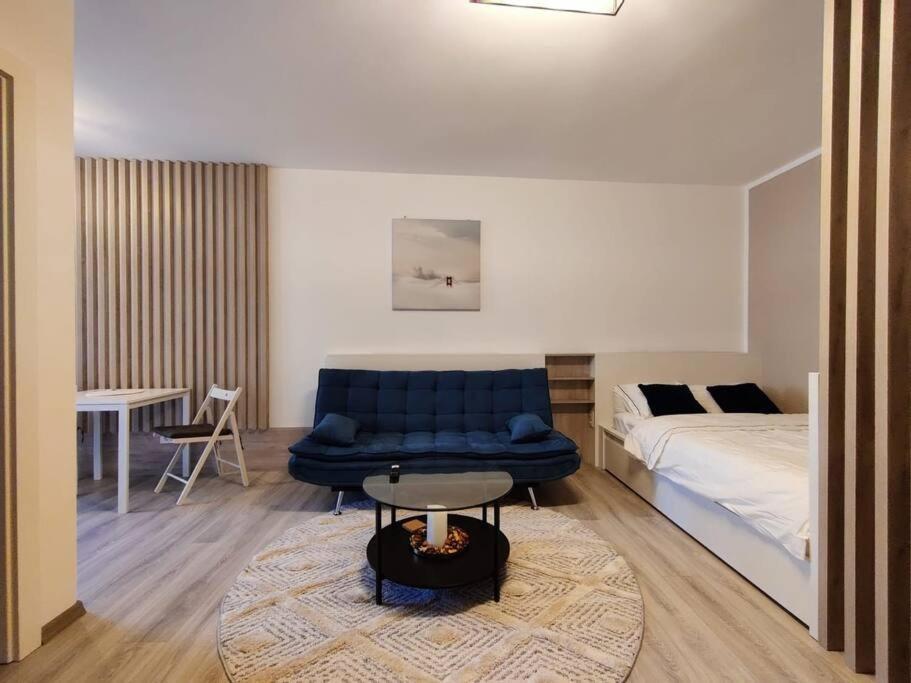 Joy City Stay Vivalia V6A-41 Тимишоара Экстерьер фото